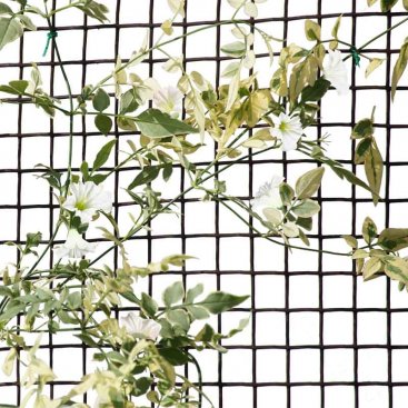 Fencing Netting & Mesh : Smart Garden Products