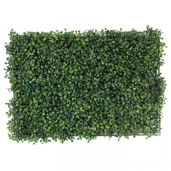 Boxwood Screening Panel 60x40cm : Smart Garden Products