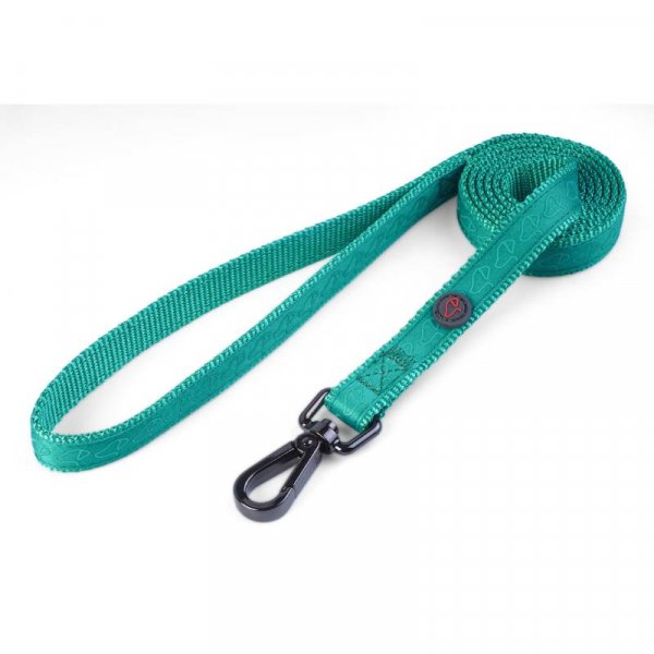 dog leash brands