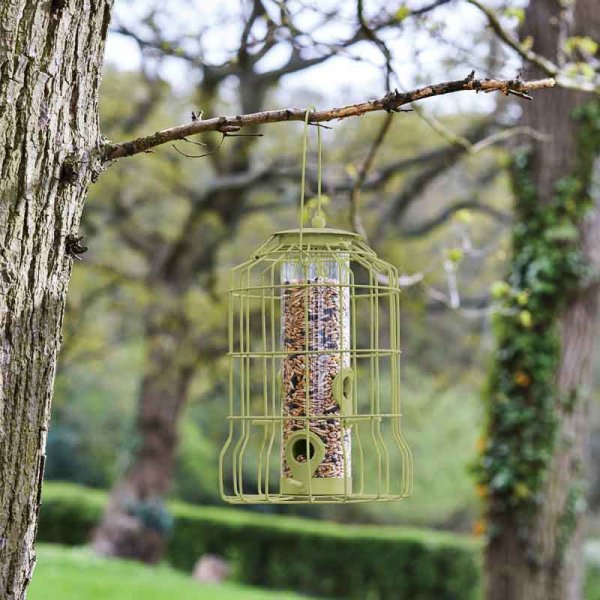 chapelwood premier squirrel proof seed feeder