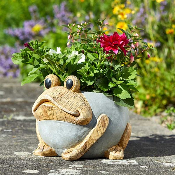 Woodstone Frog Planter : Smart Garden Products