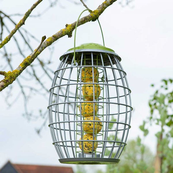 squirrel proof suet ball bird feeders