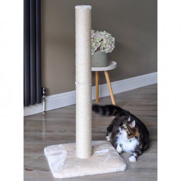 B and 2024 m scratching post