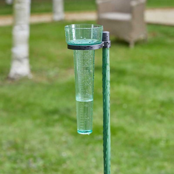 rain gauge